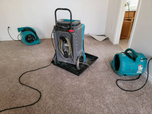 Best Water damage restoration near me  in Dayton, VA