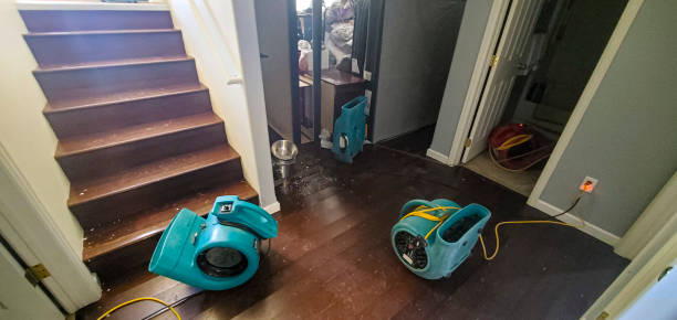 Best Water damage restoration experts  in Dayton, VA