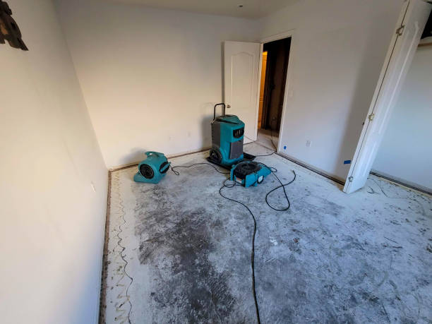  Dayton, VA Water damage restoration Pros