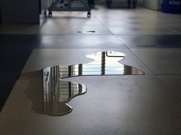 Best Water damage repair service  in Dayton, VA