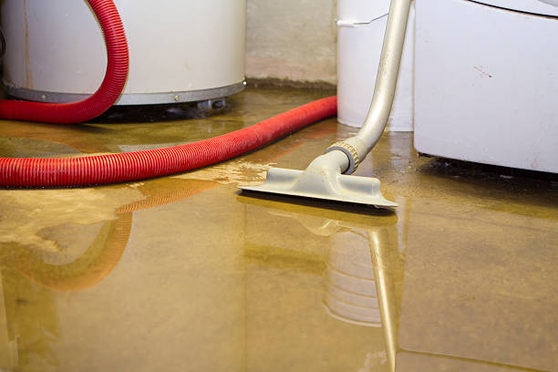 Best Water damage contractors near me  in Dayton, VA