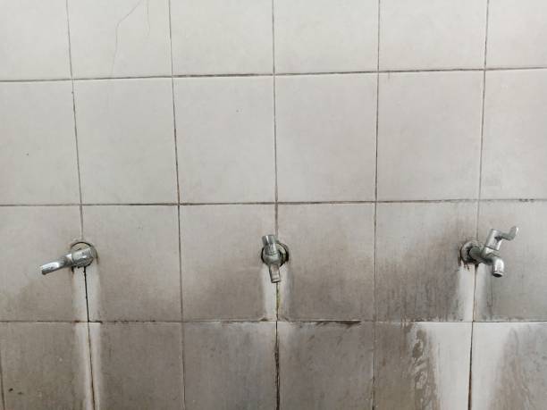 Best Water damage restoration near me  in Dayton, VA