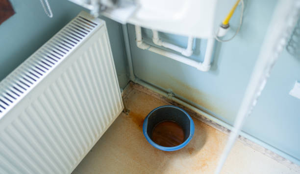 Best Carpet water damage restoration  in Dayton, VA