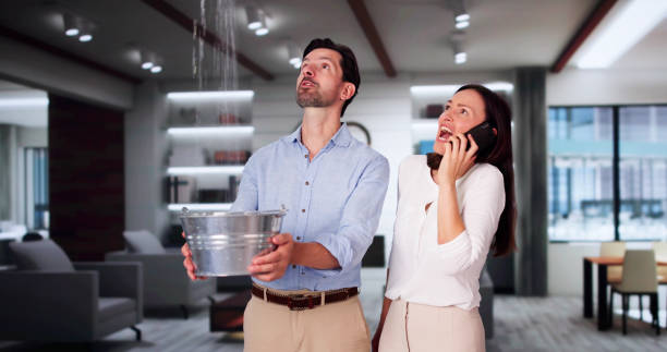 Best Flood damage cleanup  in Dayton, VA