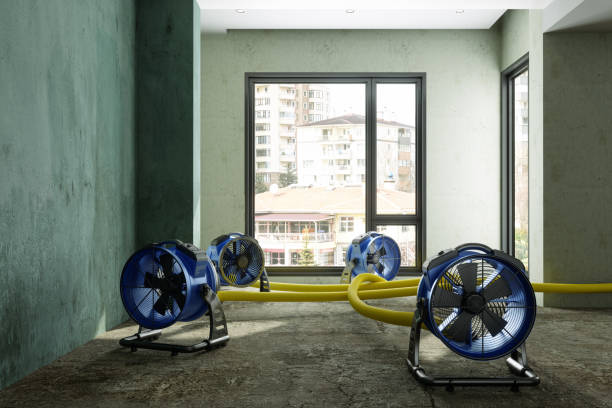 Best Sewage cleanup and water damage restoration  in Dayton, VA