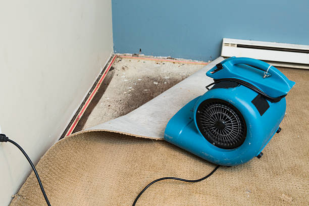 Best Residential water damage restoration  in Dayton, VA